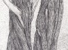 28
