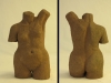 27 TORSO SEGER